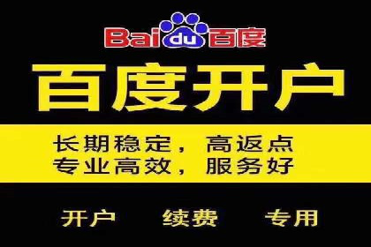 SEM推广竞价策略案例分析