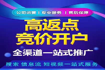 搜索引擎营销（SEM）优化全攻略：成功案例解析