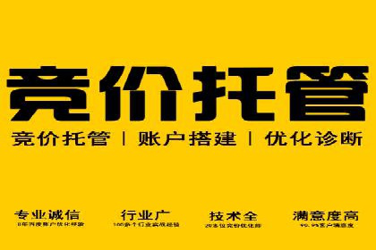 搜索引擎优化（SEM）在移动端的实践案例